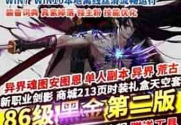 DOF单机版86黑金第二版完整任务单人副本革新丝滑技能GM网单