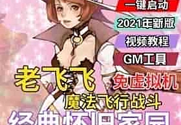经典怀旧《老飞飞》单机版免虚拟机一键端GM命令支持Win10