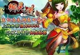 腾讯人气网页游戏御灵道 玄幻仙侠类回合制页游一键端GM后台假人